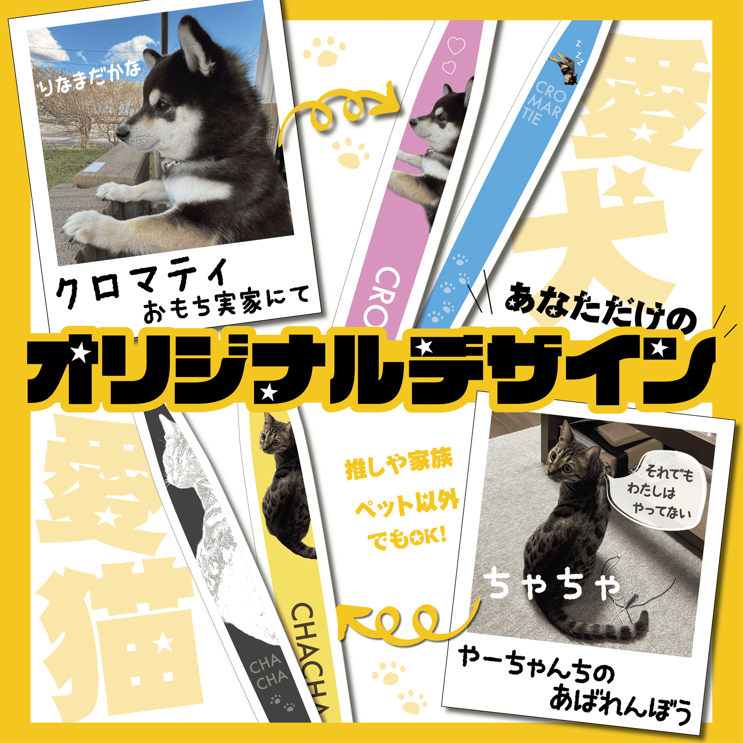 【先着10名様限定】奇跡の歯ブラシ オリジナルデザインセット